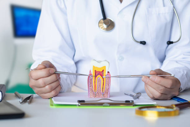Best Emergency Dentist for Knocked-Out Tooth in Los Gatos, CA